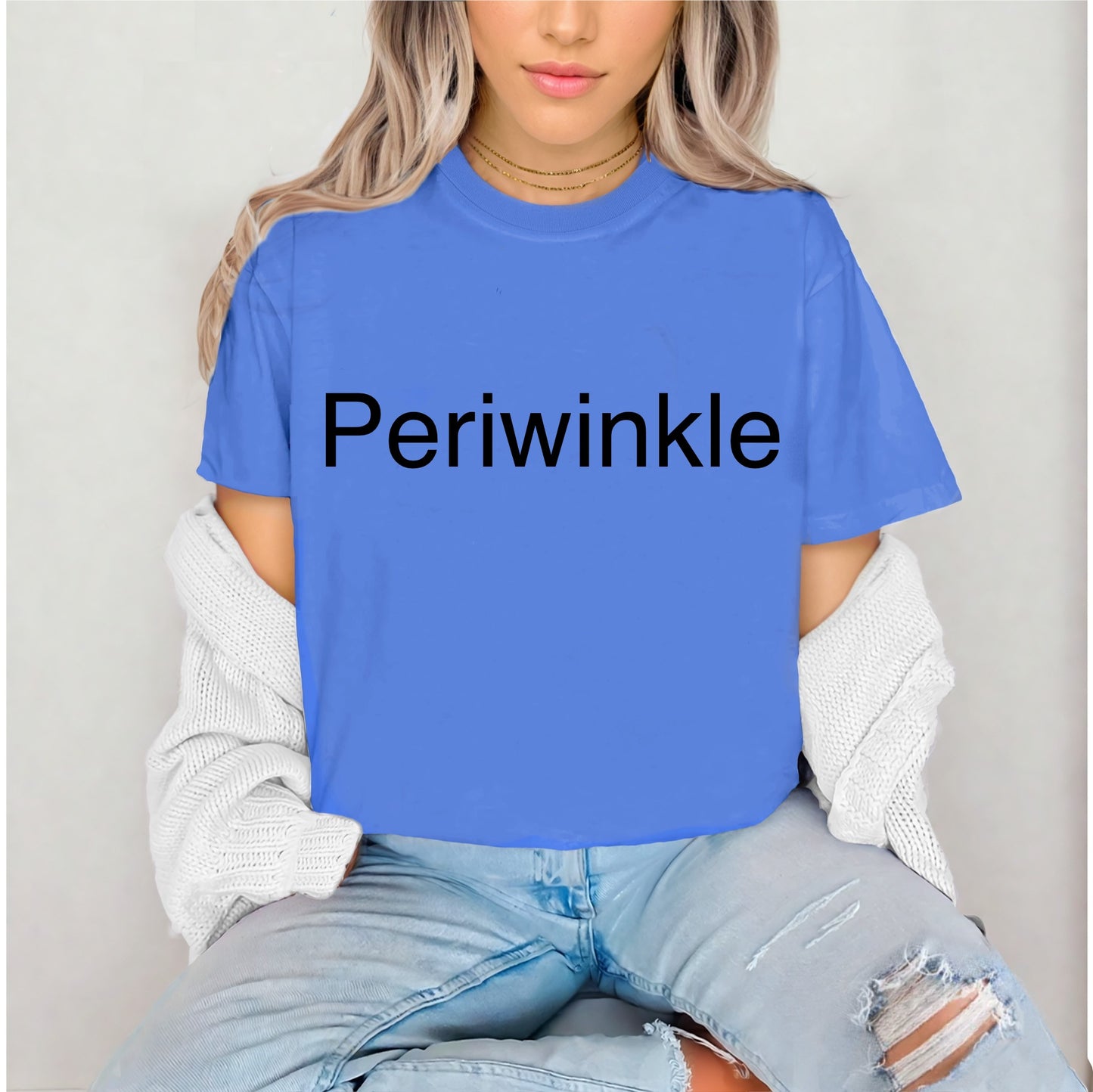 Periwinkle Comfort Colors T-Shirt