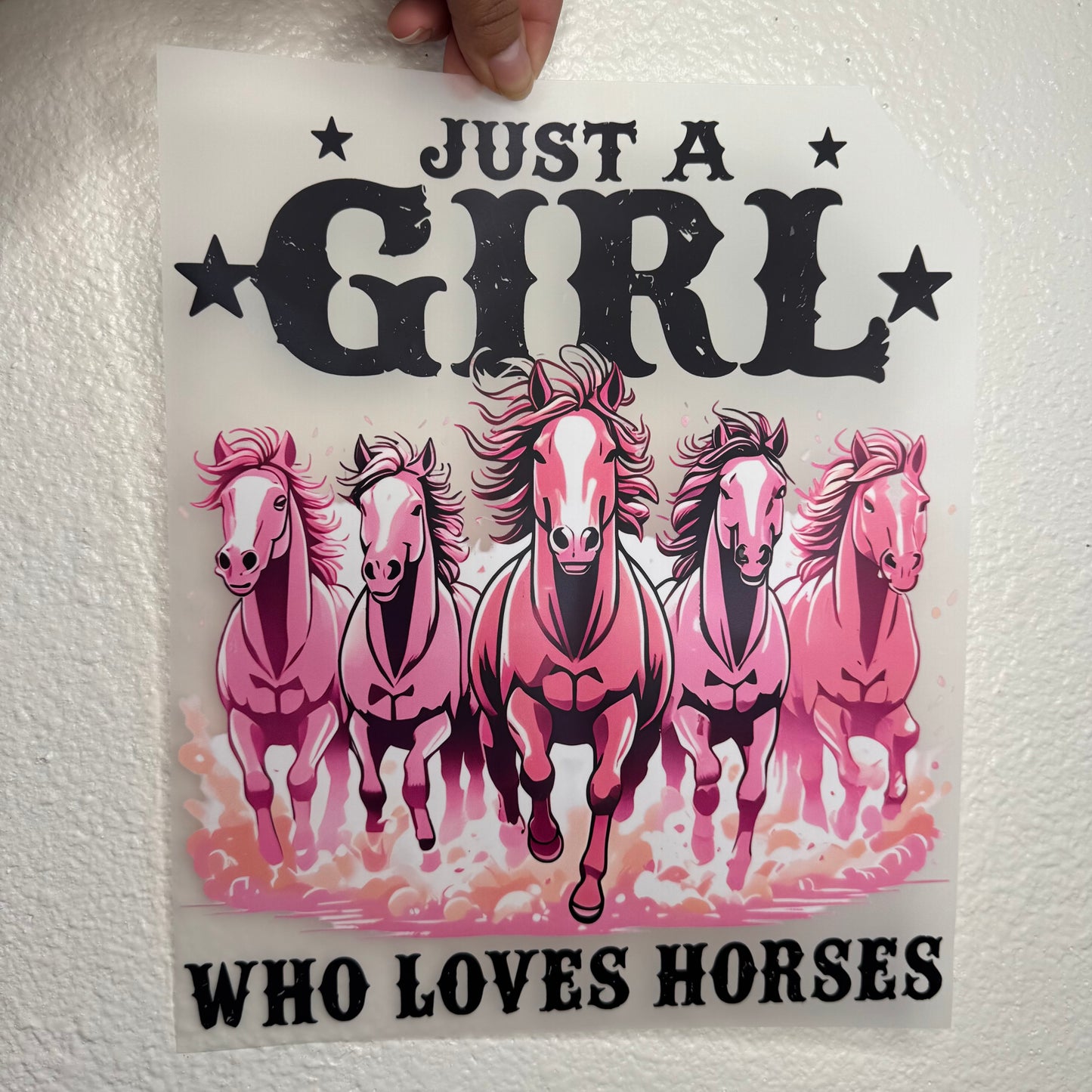 Just a girl who loves horses
