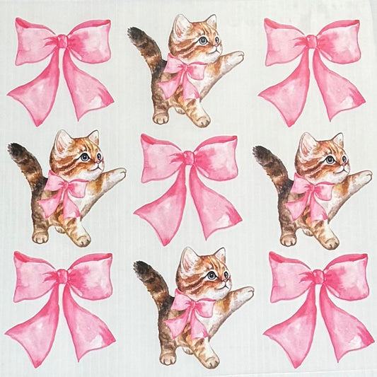 🎀 Cats